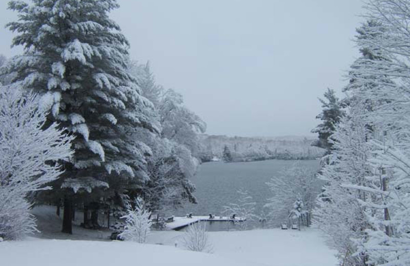 Winter at Walker Lake Resort
