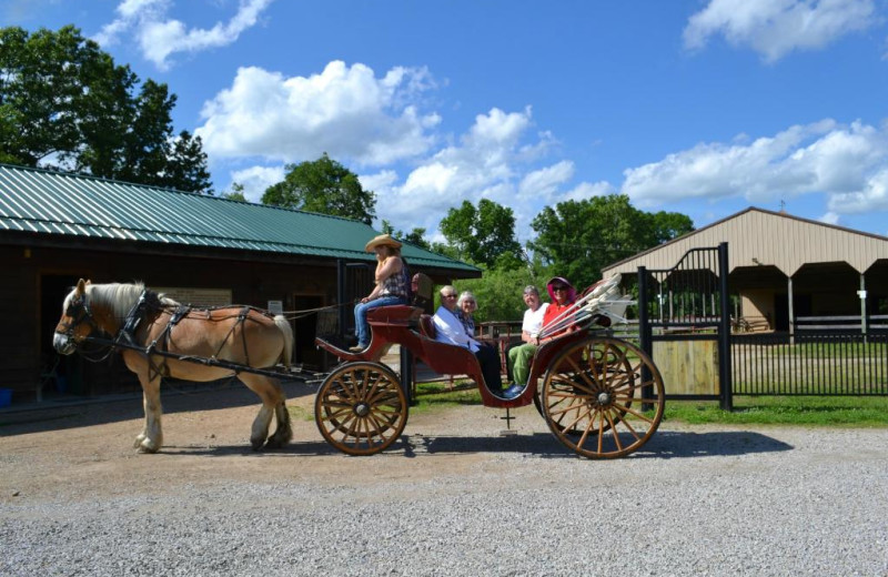 Wagon ride at YMCA Trout Lodge & Camp Lakewood.