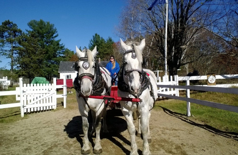 Farm by the River Bed & Breakfast with Stables (North Conway, NH