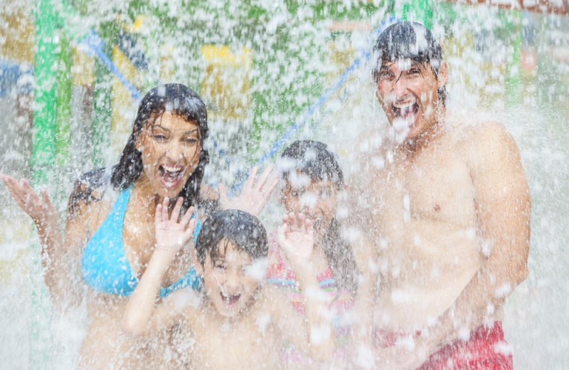 are cabin fever vacations are cabin fever vacations