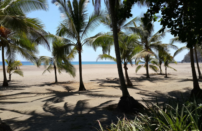 Beach at Hotel Pochote Grande.