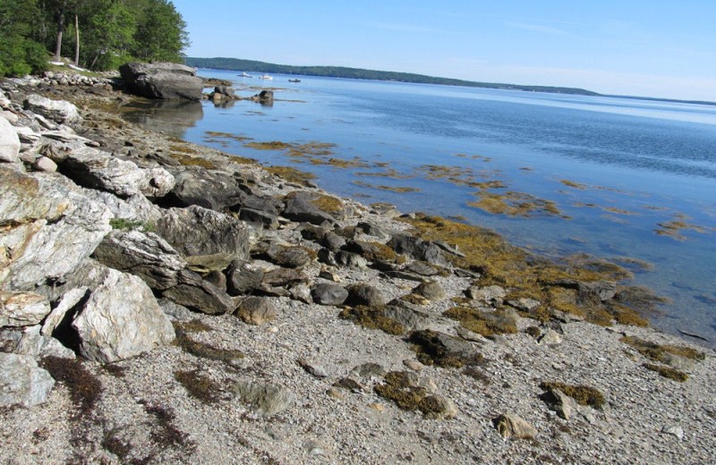 Shoreline at Vacation Cottages.