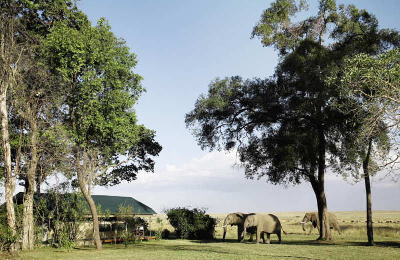 Exterior view of Governor's Camp.