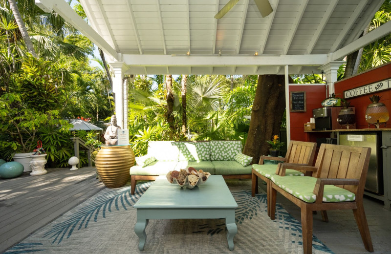 Patio at Mermaid & Alligator Key West.