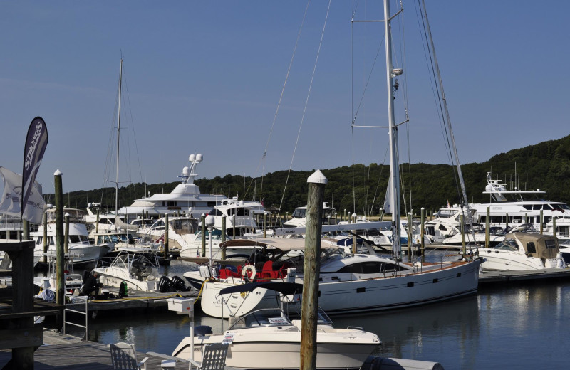 Marina at Danfords on the Sound.