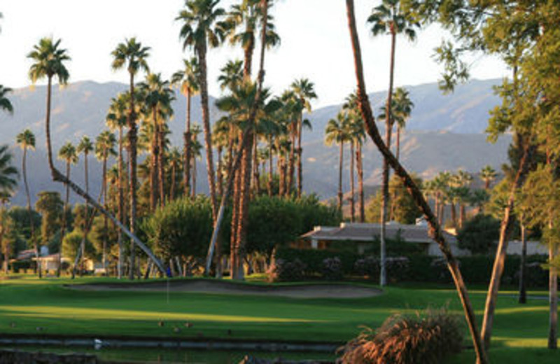 Golf Course View at Rancho Las Palmas Resort