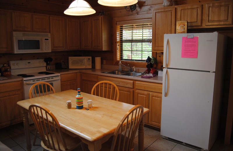 Cabin kitchen at Cabin Fever Resort.