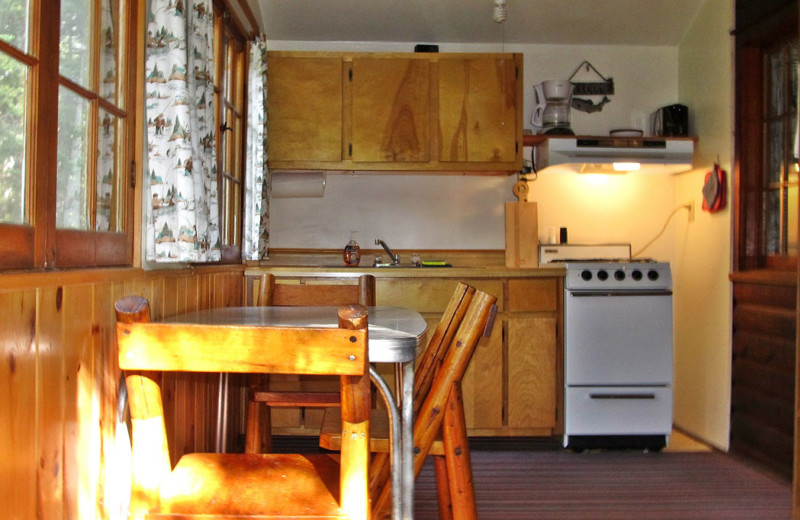 Cabin kitchen at Trout Lake Resort.