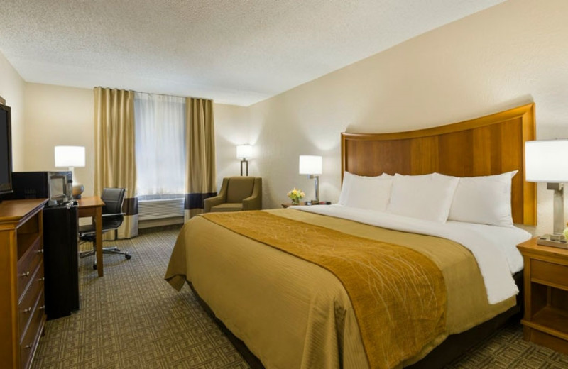 Comfort Inn St. Louis - Westport (St. Louis, MO) - Resort Reviews - www.waterandnature.org