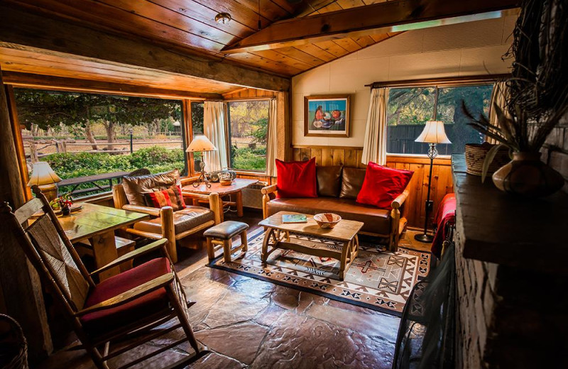 Cabin living room at Briar Patch Inn.