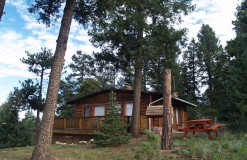 Cabin exterior at Red Door Vacation Rentals.