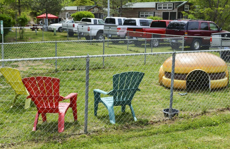 Dog park at Basswood Country Resort.