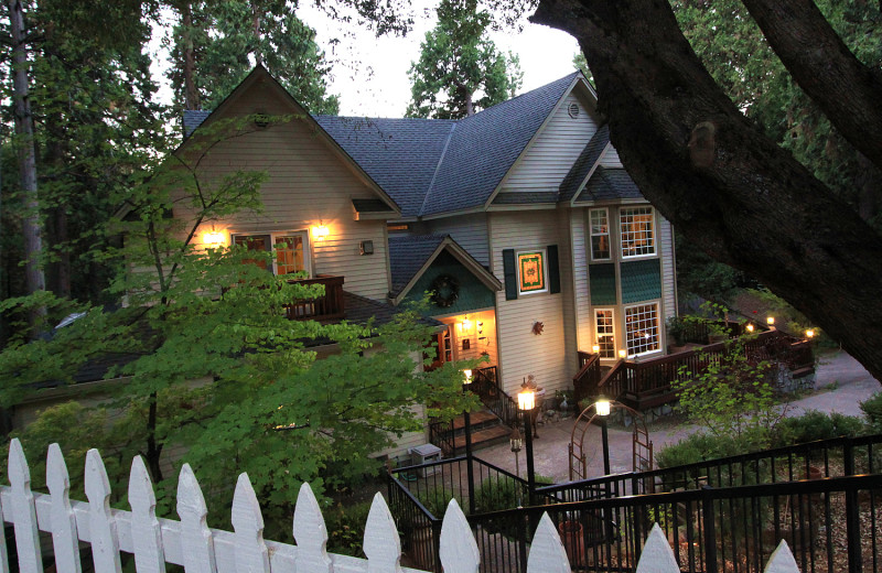 Exterior view of McCaffrey House Bed and Breakfast.