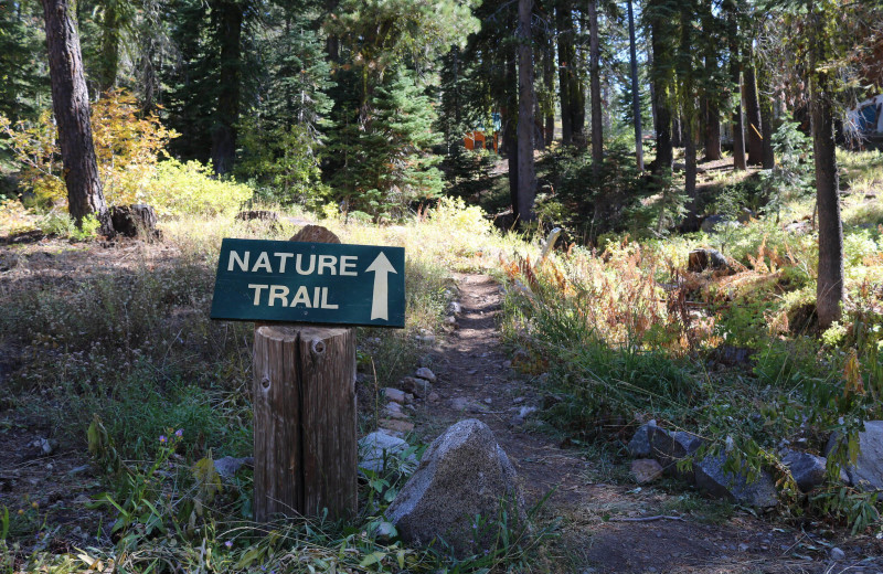 Trail at Clair Tappaan Lodge.