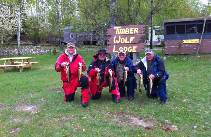 Timber Wolf Lodge (Ely, MN) Resort Reviews