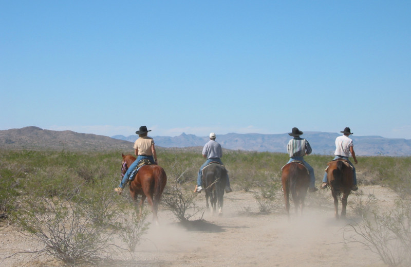 Horseback riding at Stagecoach Trails Guest Ranch.