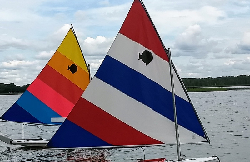 Sail boats at Woodlawn Resort.