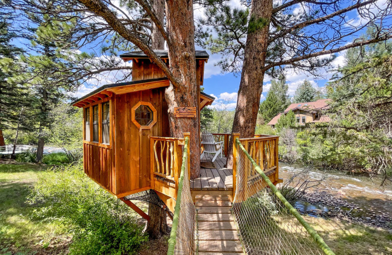 Rental tree house at Woodlands On Fall River.