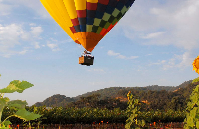 Hot air balloon rides near Harvest Inn by Charlie Palmer.