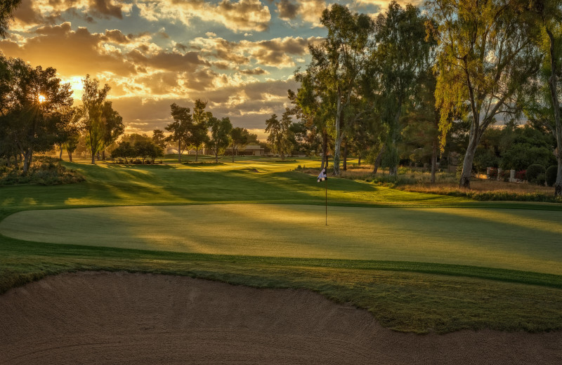 Golf course near Padzu Vacation Homes - Scottdale.