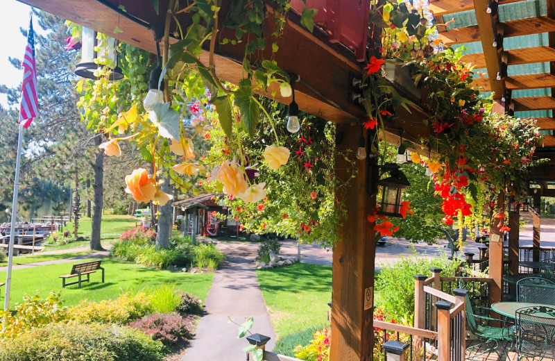 Patio at Treeland Resorts.