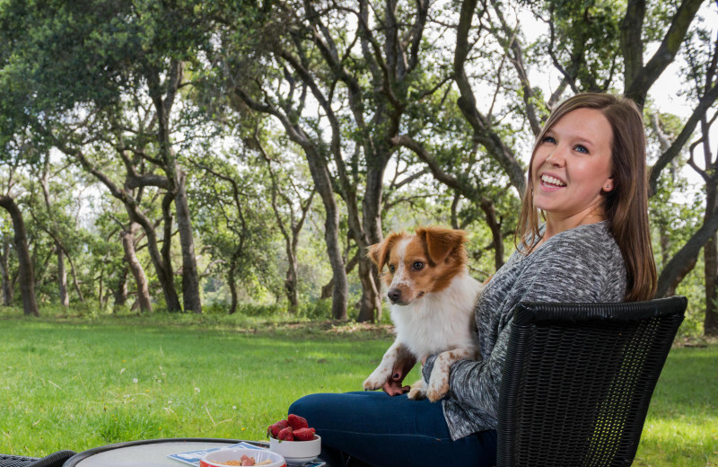 Pets welcome at Chaminade Resort 