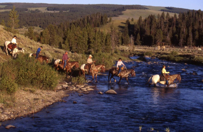 Trail Ride at Nine Quarter Circle Ranch