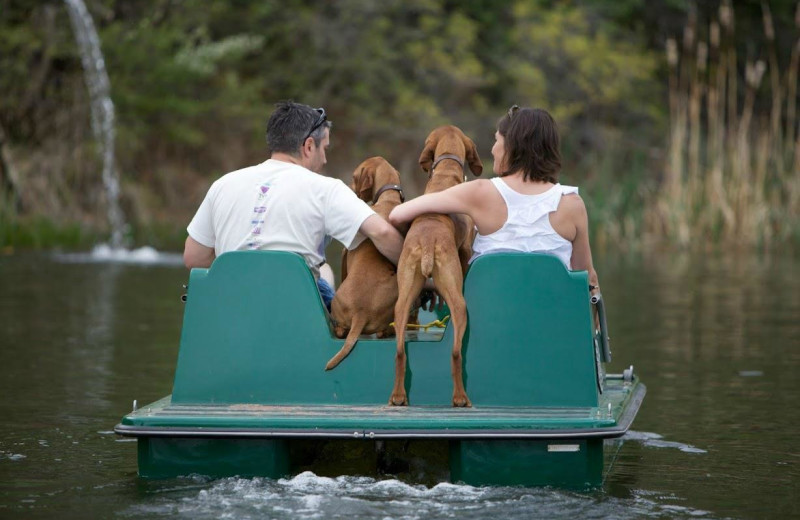 Paddle boat at Whispering Oaks Ranch.