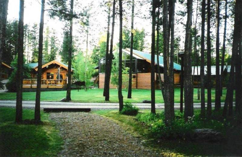 Cabins at Silverwolf Log Chalet Resort.