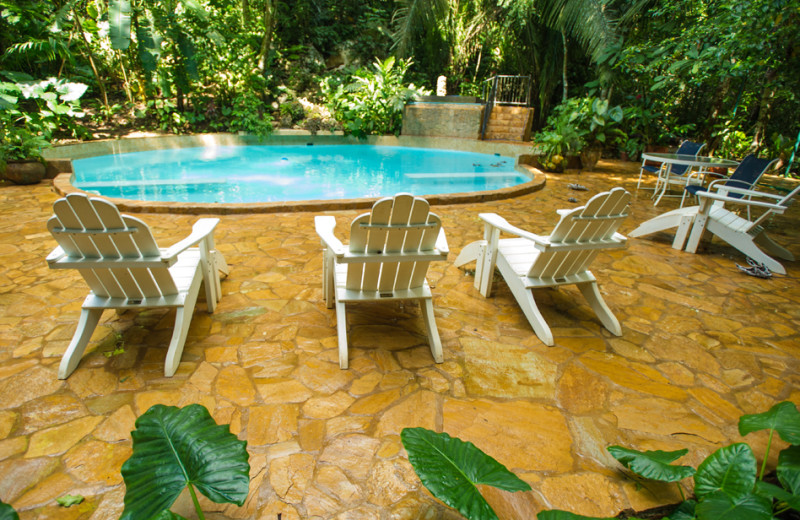 Pool at Jaguar Paw Resort.