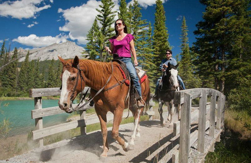 Horesback riding at Banff Trail Riders.