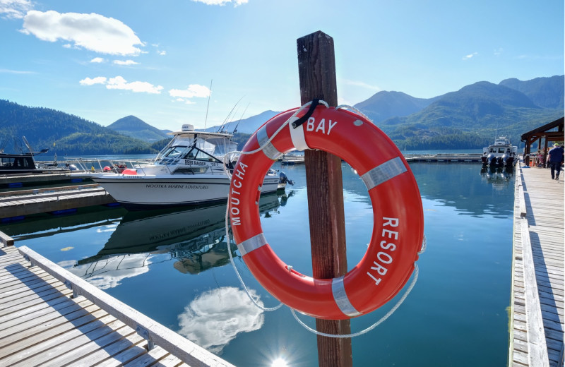 Marina at Nootka Marine Adventures.