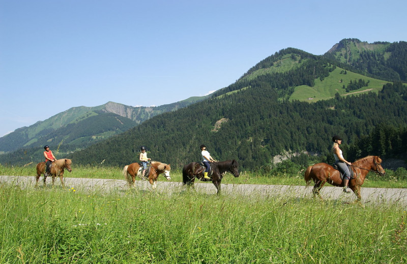 Horseback riding at Lost Creek Guest Ranch.