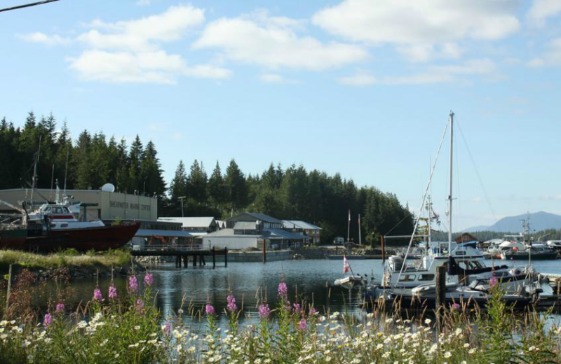 Exterior view of Shearwater Resort & Marina.