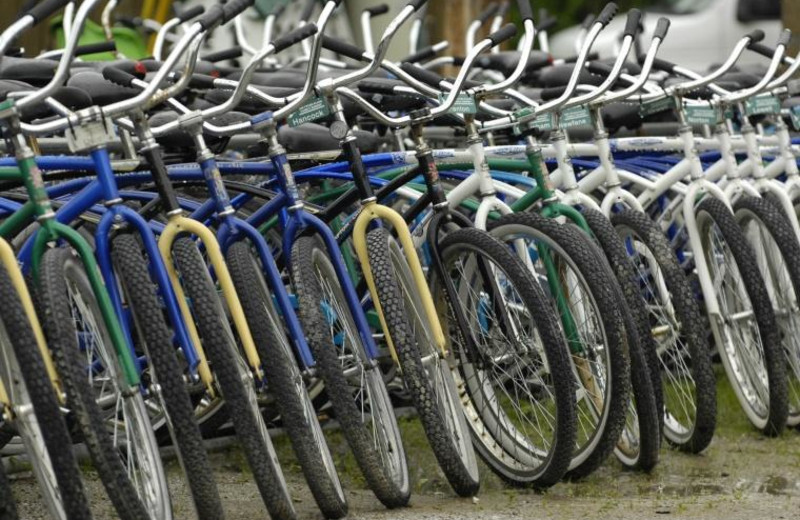 Bikes at Tyler Place Family Resort.