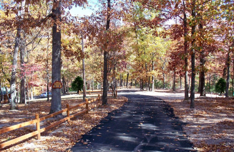 Fall at Lake Forest Luxury Log Cabins.