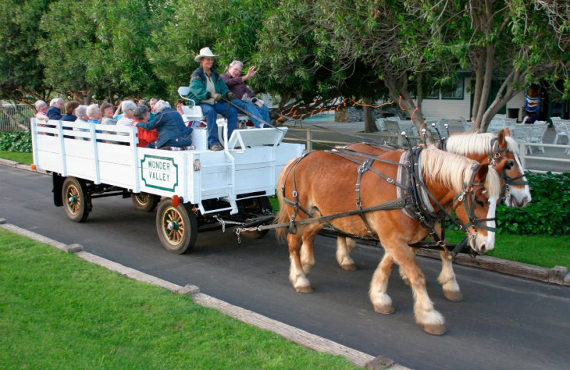 Hayrides at Wonder Valley Ranch Resort