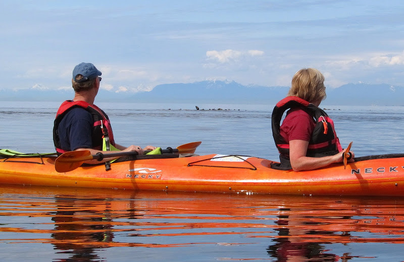 Kayaking at Blue Vista Resort.