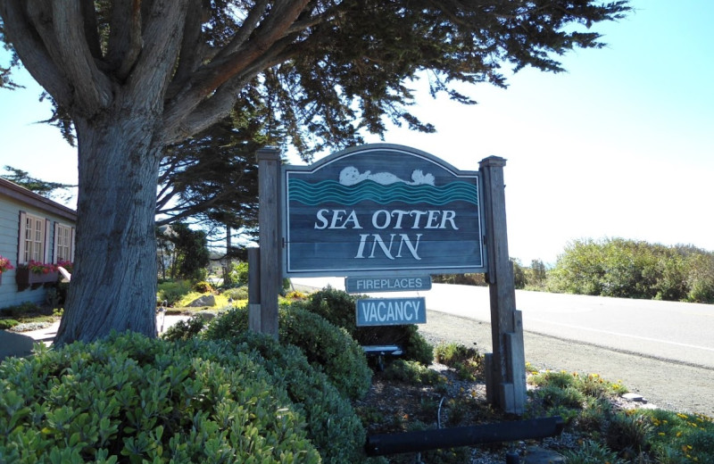 Welcome to Sea Otter Inn.