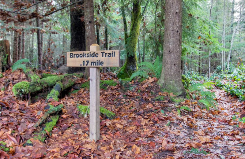 One of the many trails on the property of the Olympic Foothills Lodge.