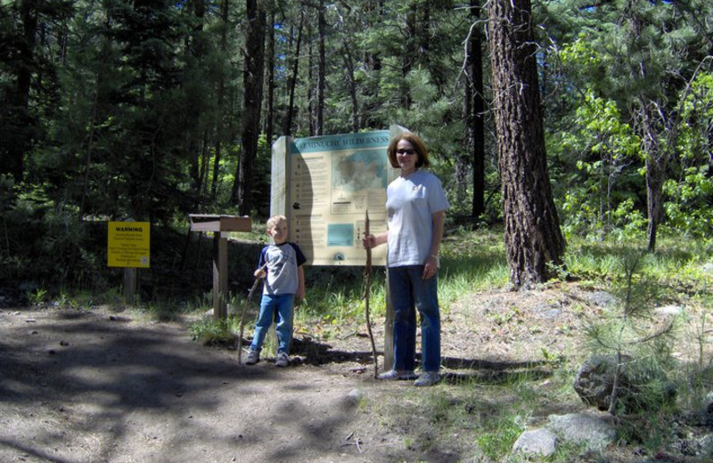 Family hiking at Lone Wolf Cabins and Getaway.