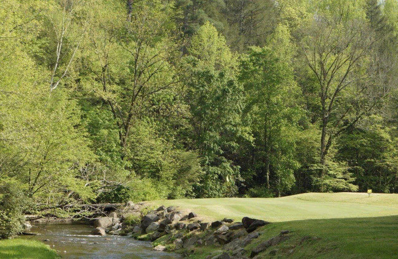 Golf near Elk Springs Resort.