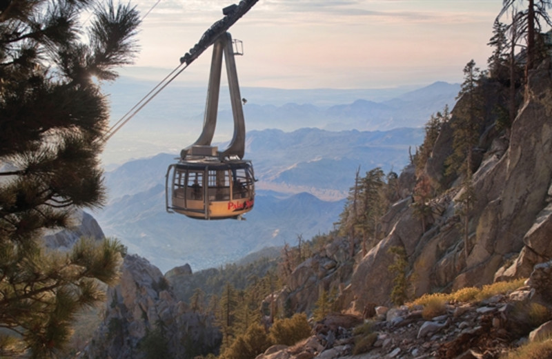 Tram ride up the mountain at Random Haus.