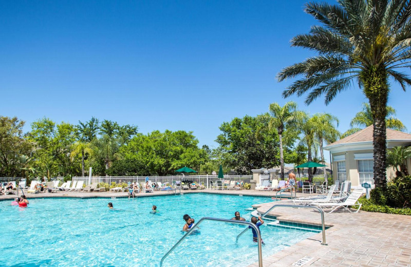 Outdoor pool at Windsor Palms.