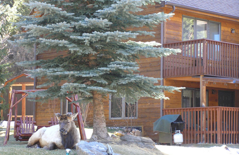 Resort view at Aspen Winds.