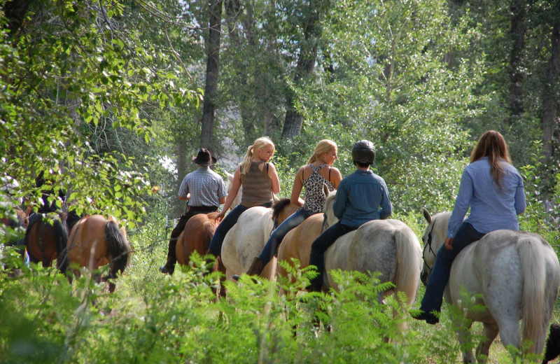 Horseback riding at Rocking Z Ranch.