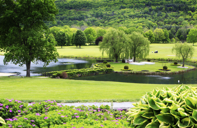 Wellness Island at Honor's Haven Retreat & Conference