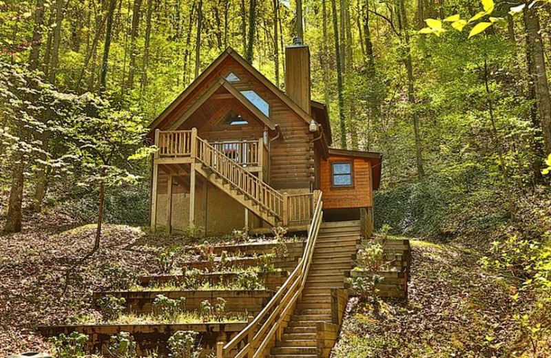 Cabin exterior at Little Valley Mountain Resort.