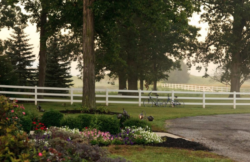 Garden at HideAway Country Inn.