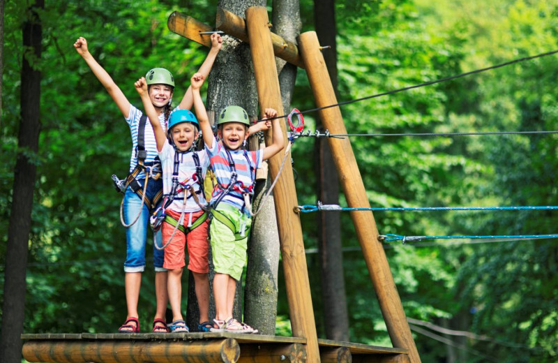 Zip line at High Hampton Resort.